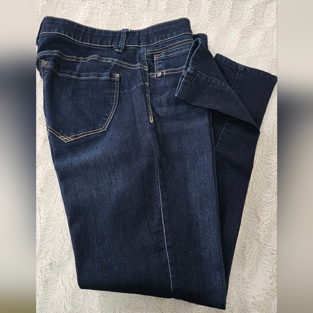 Artisan Crafted by Democracy Jeggings